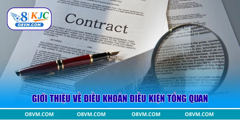 Giới thiệu về điều khoản điều kiện tổng quan